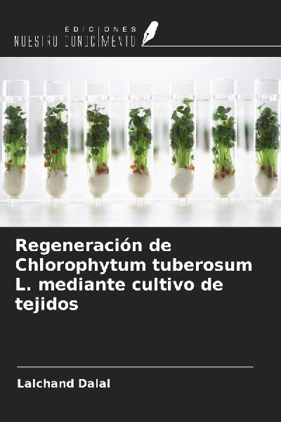 Regeneración de Chlorophytum tuberosum L. mediante cultivo de...