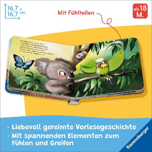 Mein erstes Vorlese-Fühlbuch - Bist du ein Koala?