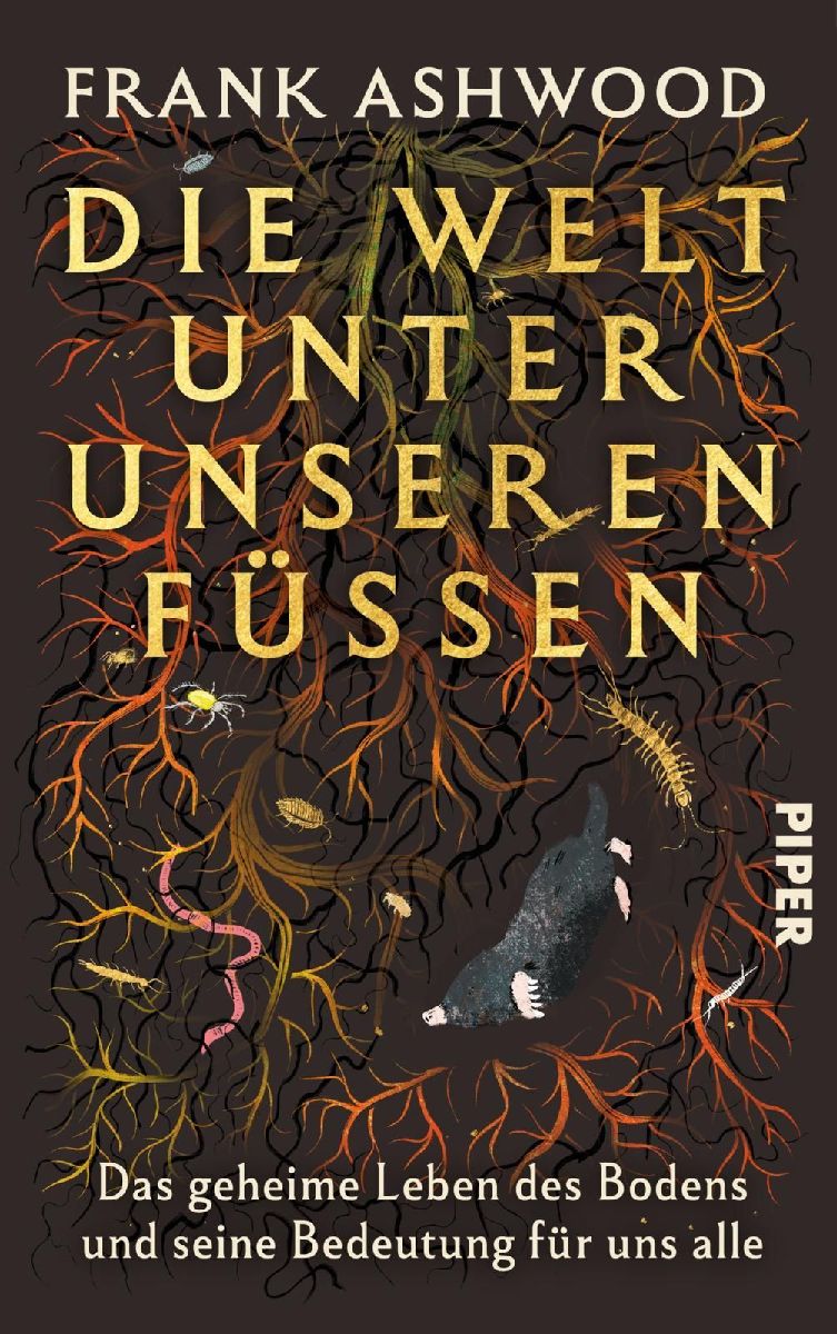 Die Welt unter unseren Füßen