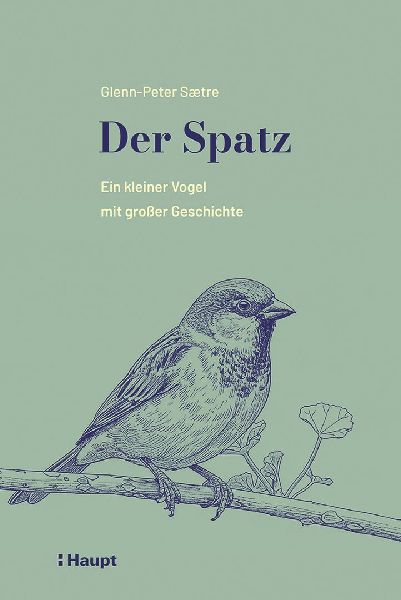 Der Spatz