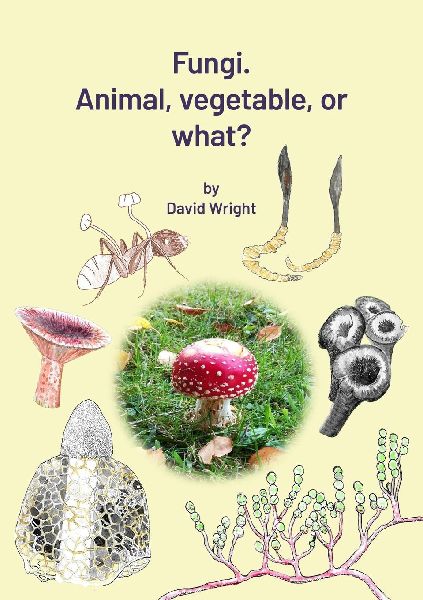 FUNGI. Animal, Vegetable  or What?