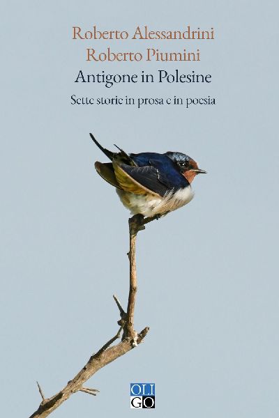 Antigone in Polesine. Sette storie in prosa e in poesia
