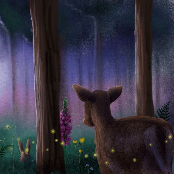 Finn Fledermaus und das Blenden in der Nacht