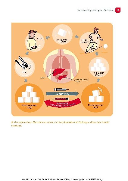 Das Kinder-Diabetes-Buch