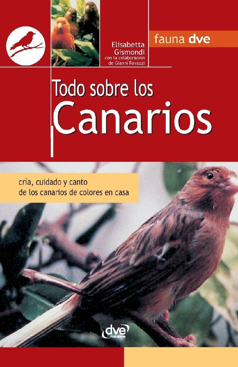 Todo sobre los canarios