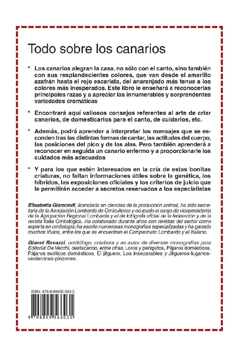 Todo sobre los canarios