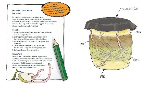 Die Müllabfuhr in der Natur - Alles über Mistkäfer und Co.