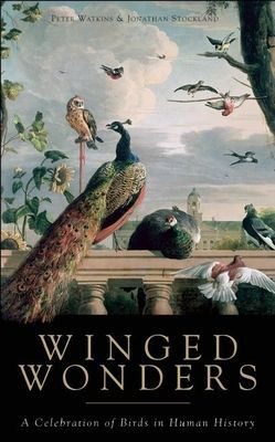 Winged Wonders