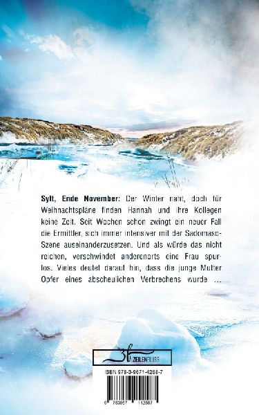 Düsteres Sylt