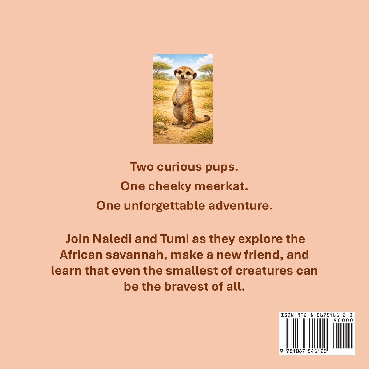Naledi and Tumi Meet a Meerkat