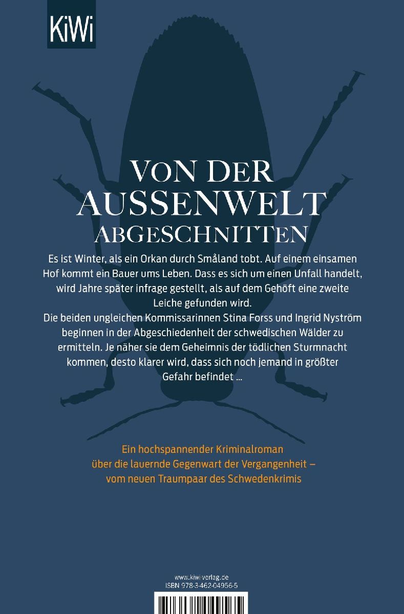 In stürmischer Nacht