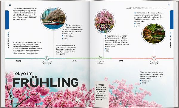 LONELY PLANET Reiseführer Entdecke Tokyo