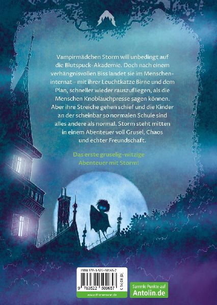 Storm 1: Das Internat des Gruselns