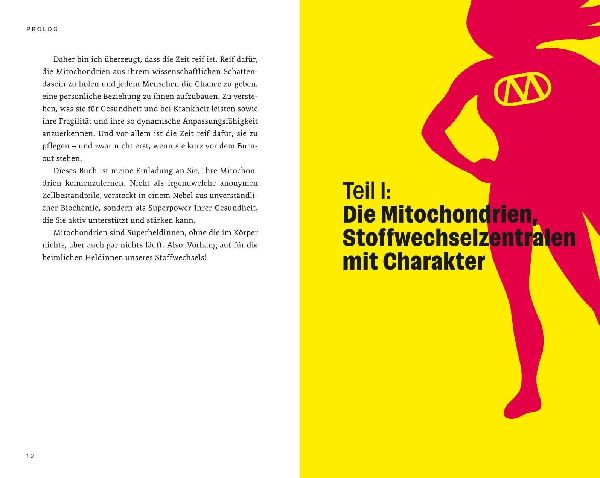 Die heimlichen Heldinnen des Stoffwechsels