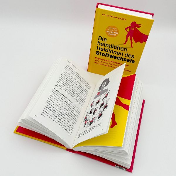 Die heimlichen Heldinnen des Stoffwechsels