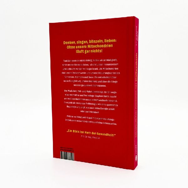 Die heimlichen Heldinnen des Stoffwechsels