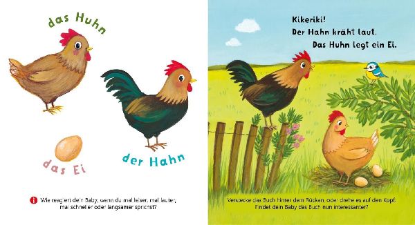 Baby Pixi (unkaputtbar) 179: Mein Baby-Pixi-Buggybuch: Allererste Wörter: Meine Tiere
