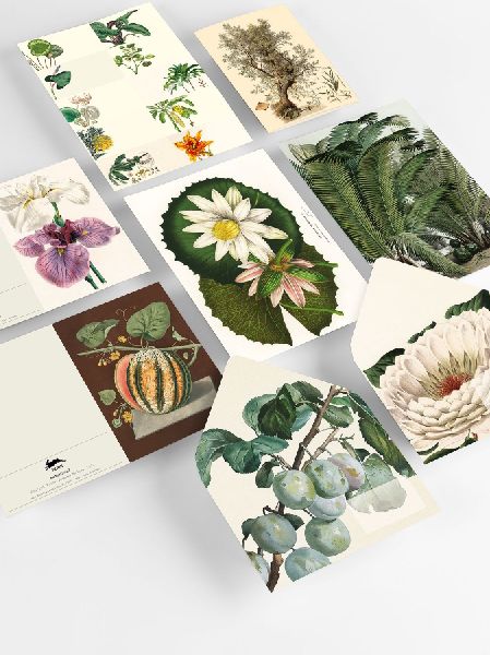 Botanical