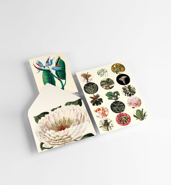 Botanical