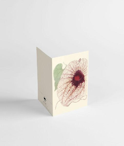 Botanical