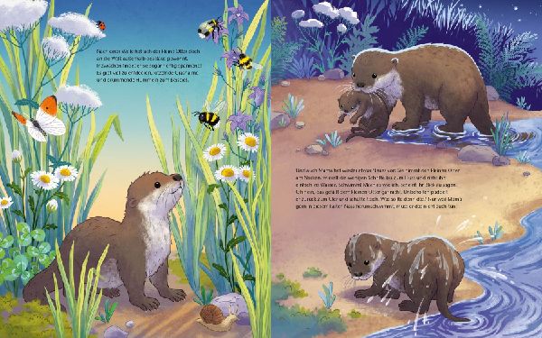 Der kleine Otter - Zu Hause in den Flüssen Europas