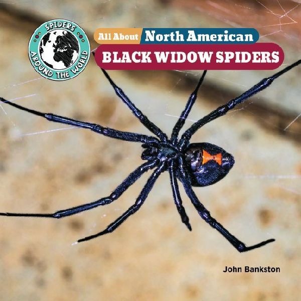 All about North American Black Widow Spiders