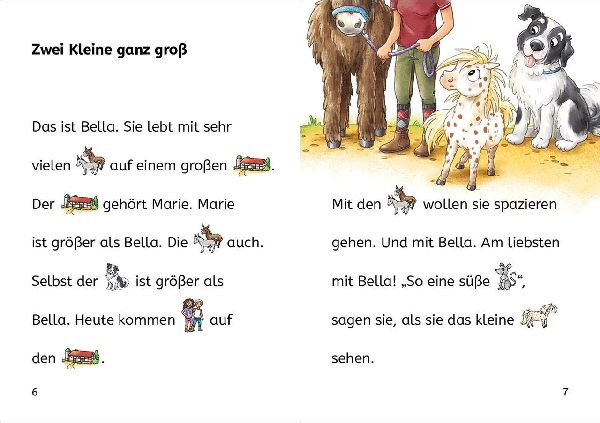 Bildermaus - Ein Pony zum Liebhaben