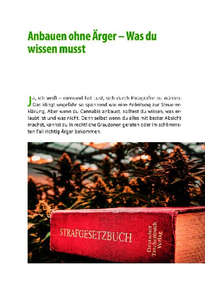 Cannabis zu Hause anbauen für Anfänger