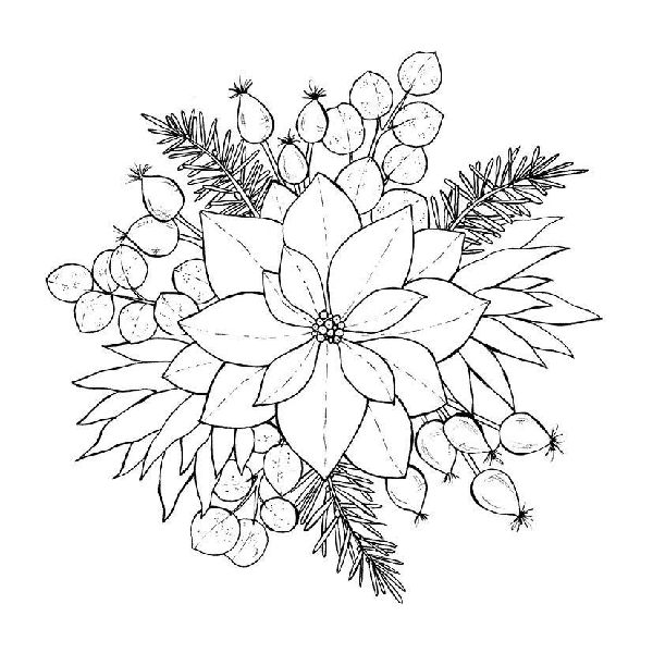 333 Ausmalen - Wunder der Natur