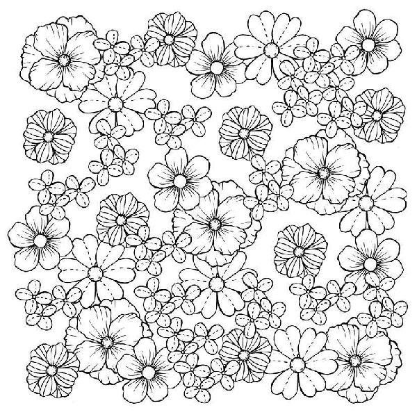 333 Ausmalen - Wunder der Natur