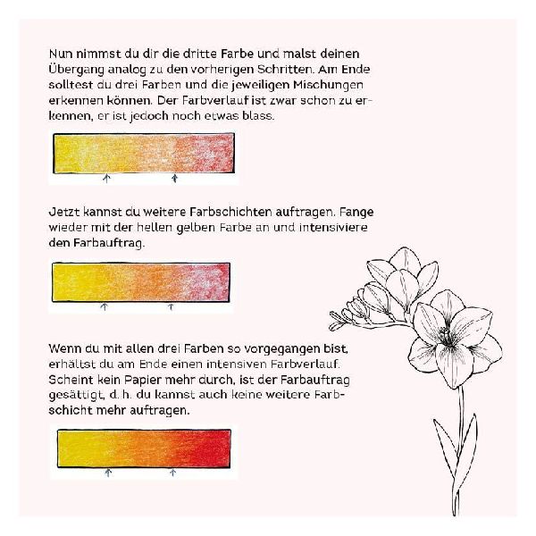 333 Ausmalen - Wunder der Natur