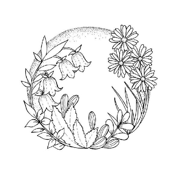 333 Ausmalen - Wunder der Natur
