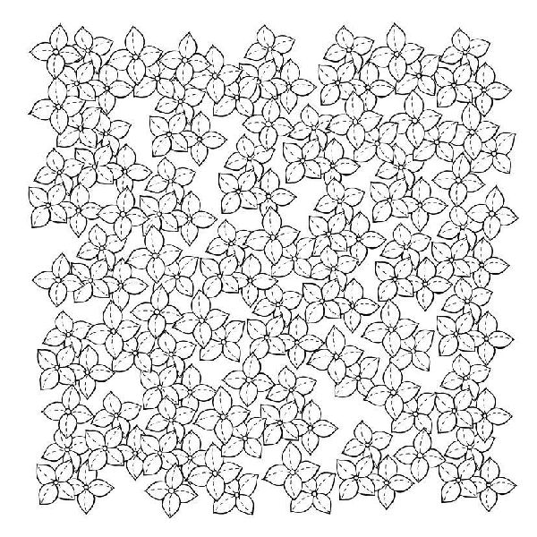 333 Ausmalen - Wunder der Natur