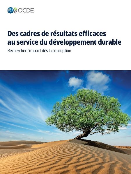 Des cadres de résultats efficaces au service du développemen...