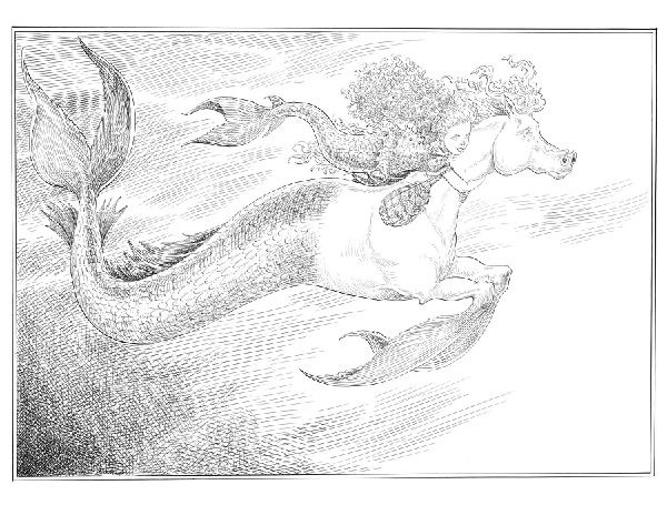 A Mermaid's Diary