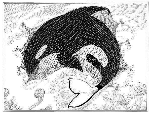 A Mermaid's Rescue