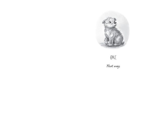 Wombat Waiting