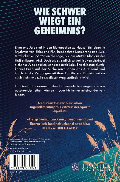 Stromlinien