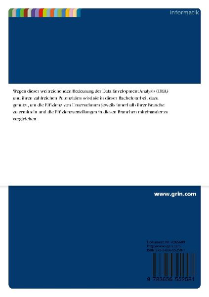 Data Envelopment Analysis. Effizienzanalyse auf Basis von Unternehmensbilanzdaten