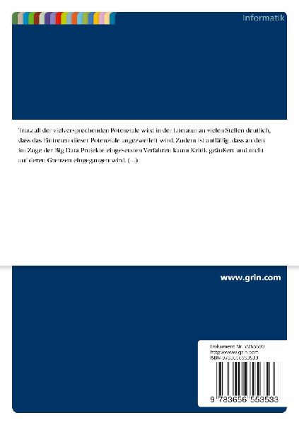 Potenziale und Risiken von Big Data in Smart Grids
