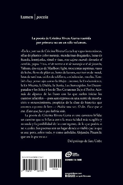 Me llamo cuerpo que no está / My Name Is a Body That Is Not