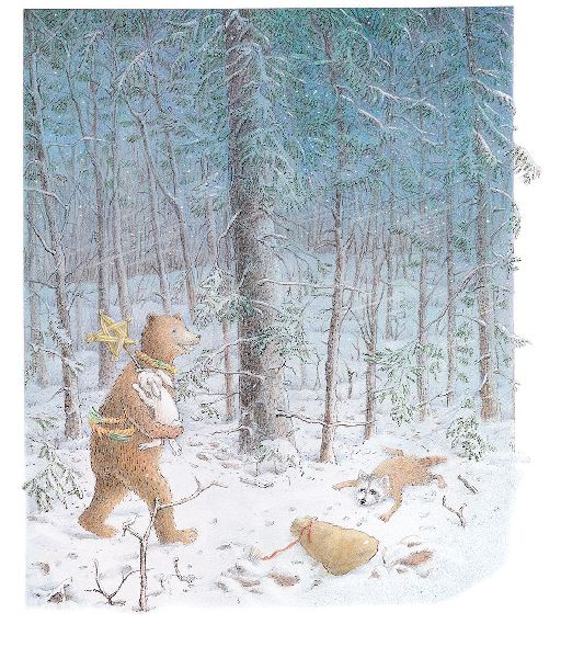 Schneehäschens Stern