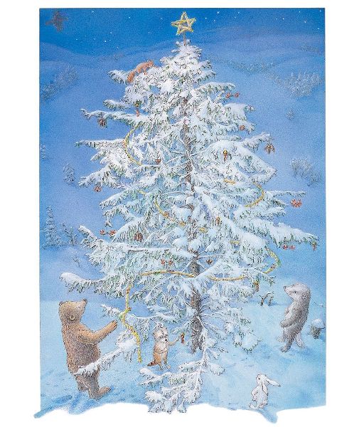 Schneehäschens Stern