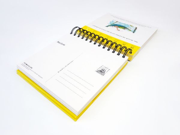 Wondrak für alle Lebenslagen. Postkartenkalender 2027