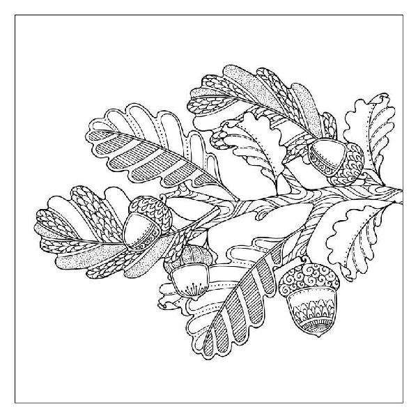 333 Ausmalen - Herbst-Gefühle