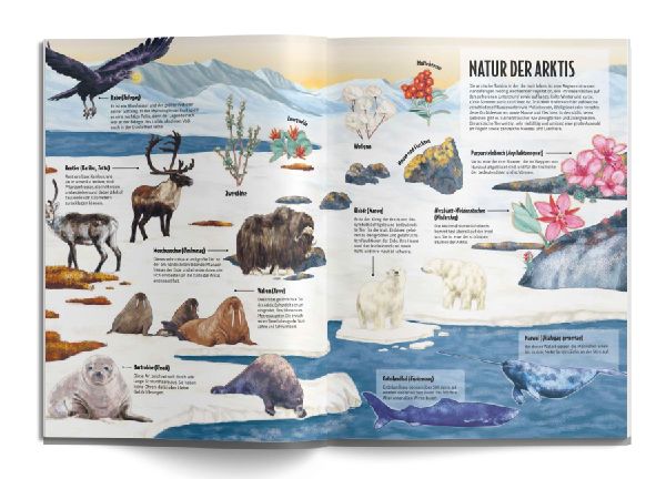 Die Welt der Inuit