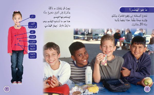 The Digestive System