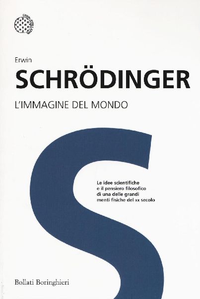 L' immagine del mondo