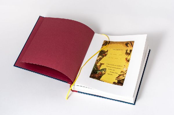 Die Bibel für Kinder und alle im Haus