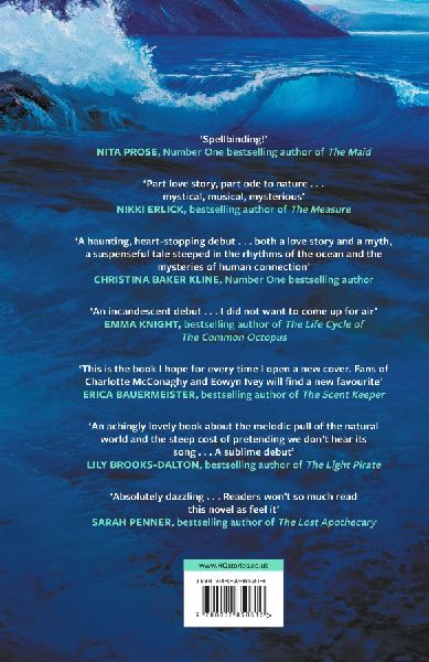 The Wild Beneath